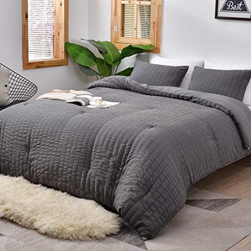 Beige Seersucker Queen Comforter Set - 3 Pieces, 100% Washed Microfiber, Lightweight Comforter with 2 Pillowcases